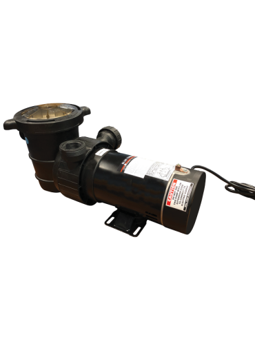 1 hp - White River Dual Port Pool Pump