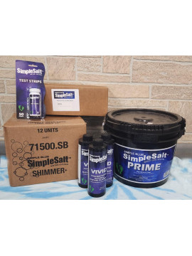 Simple Salt Spring Startup