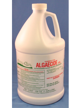 Bison 10% Algaecide - Gallon